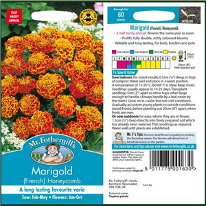 Marigold (French) Honeycomb